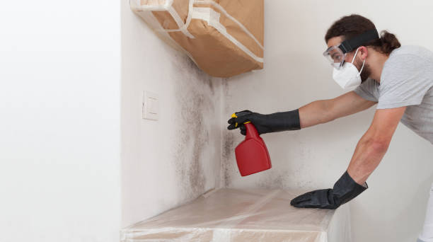 Professional Crawl Space Mold Remediation technician working in Paris, IL