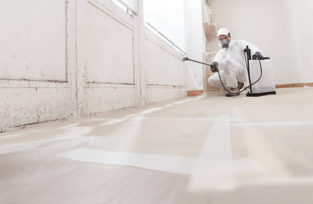 24/7 Emergency Crawl Space Mold Remediation experts in Paris, IL